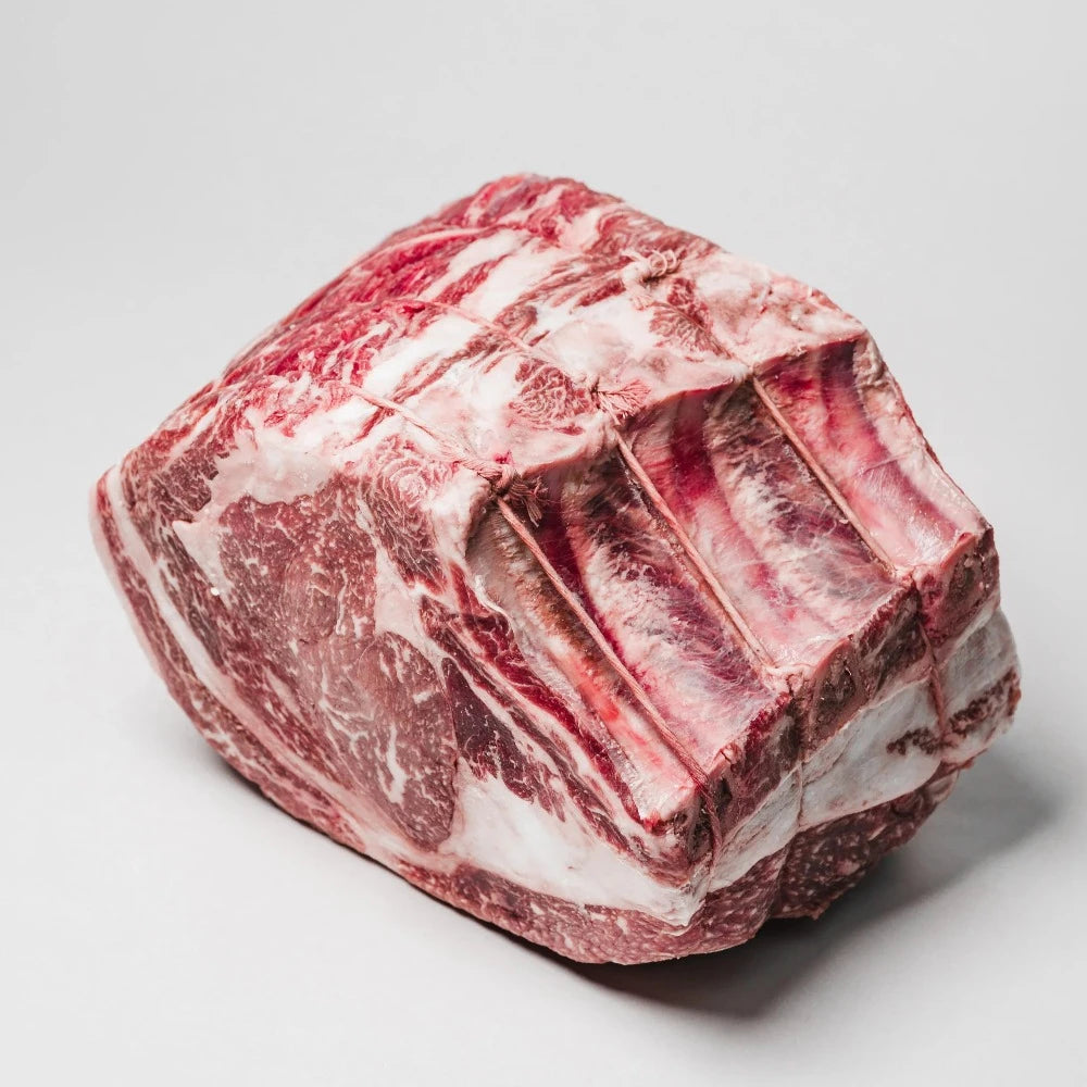 American Wagyu bone-in prime rib with rich marbling and bold flavor, ideal for roasting or holiday meals