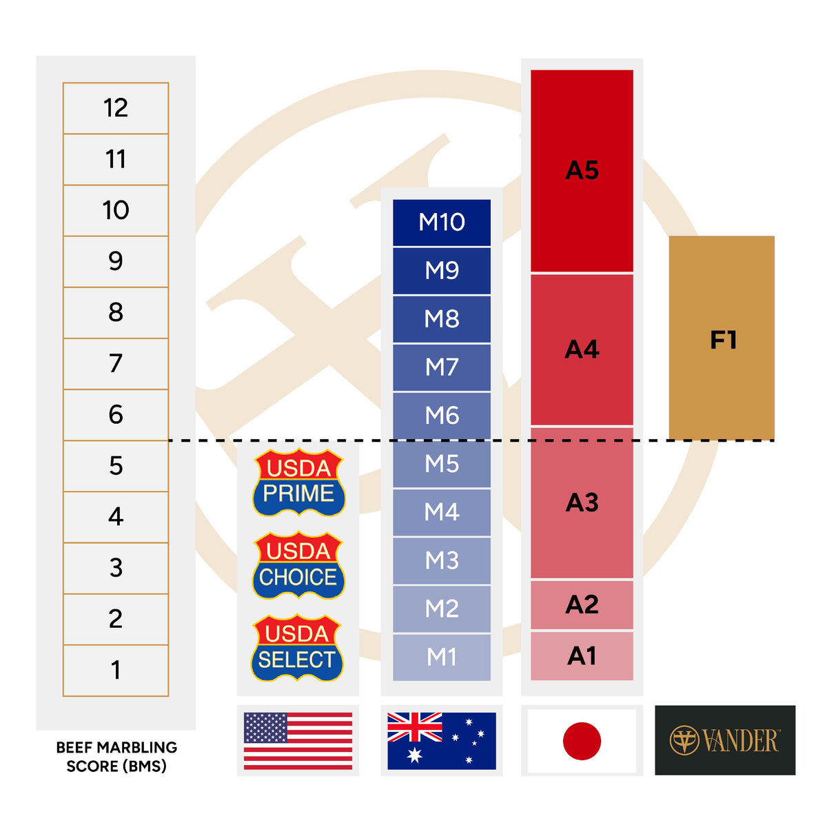 Vander Farmers | Premium American Wagyu Beef