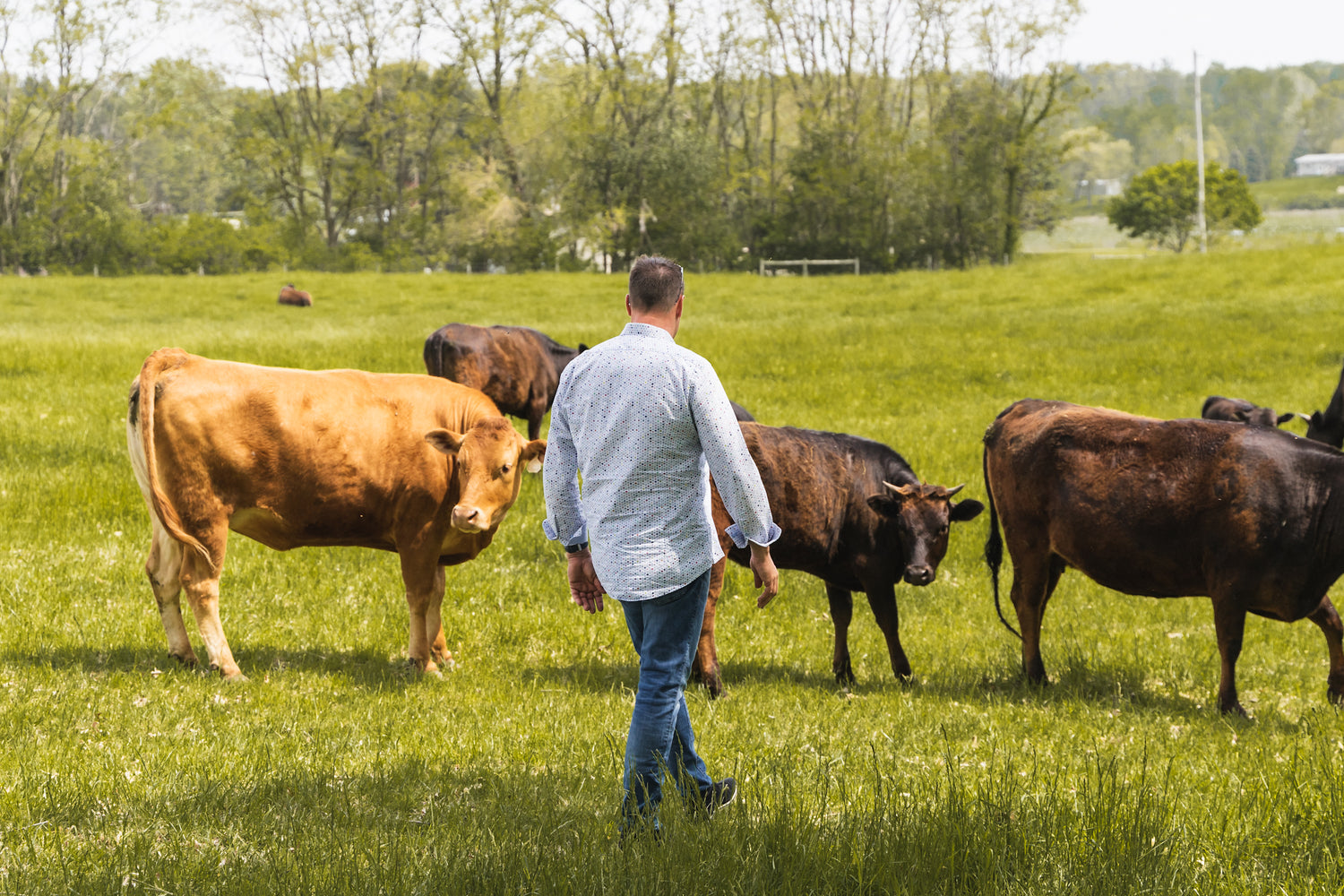 VANDER FARMERS